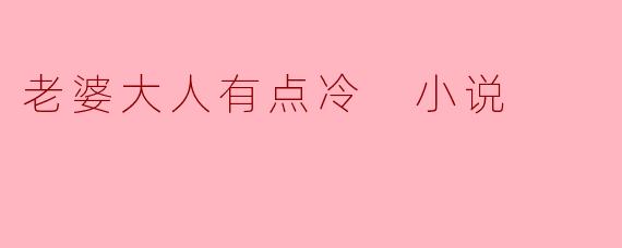 老婆大人有点冷 小说
